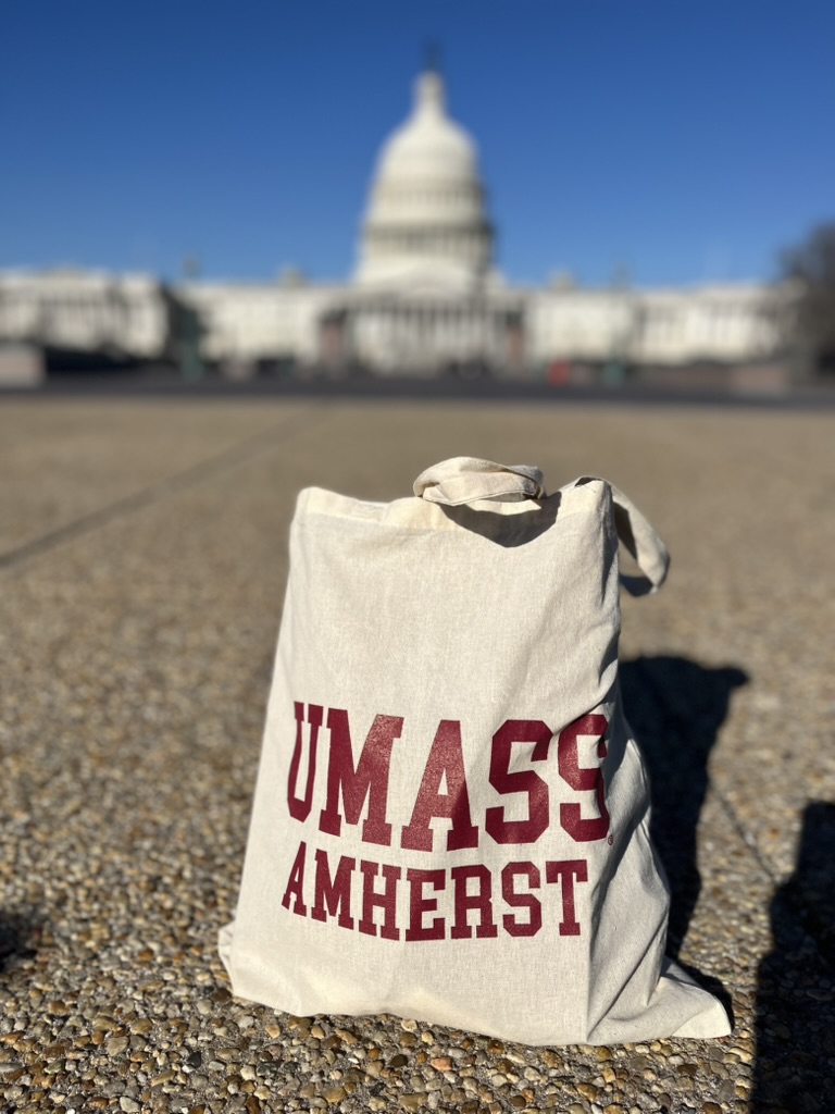 UMass Amherst bag with the White House in the background.